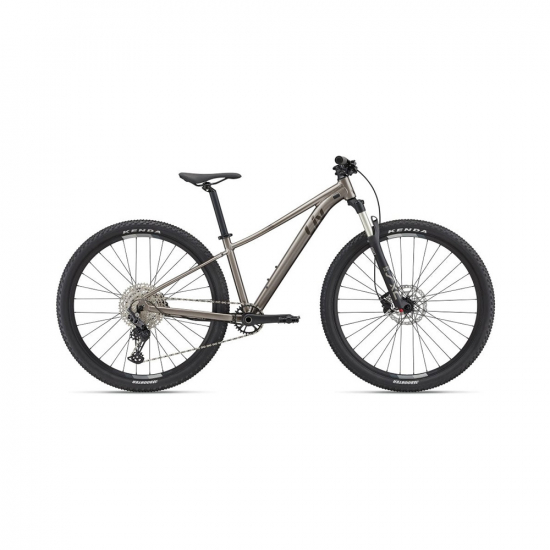 LIV Tempt 29 0 Metal i gruppen Cykel / Mountainbike / MTB 29 tum hos Rune stberg Cykel & Sport Aktiebolag (220111718r)