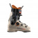 Salomon S/Pro Supra Dual Boa 120 - Humus Salomon S/Pro Supra Dual Boa 120 - Humus