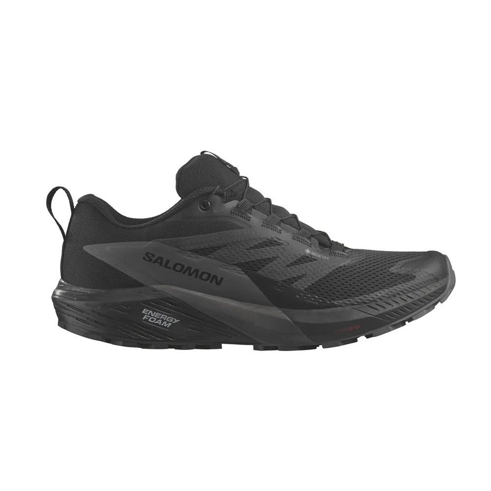 Salomon Sense Ride 5 GTX Men Black